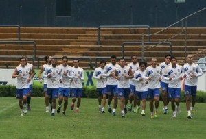 tigres entrenamiento